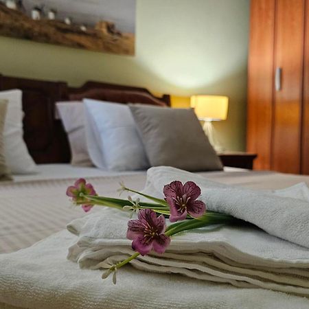 Lalovina Apartment Херцег Нови Екстериор снимка